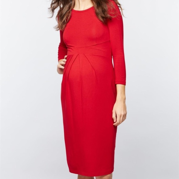 Isabella Oliver Dresses & Skirts - Isabella Oliver Effra Pleat Maternity Dress